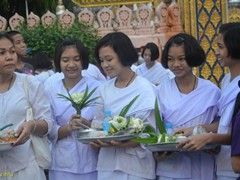 nan71_11