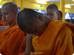 DSC_0029