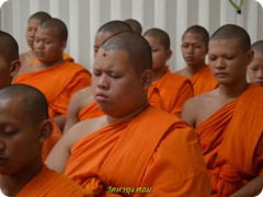 DSC_0067