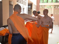 nan3_32