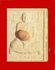  ФӢ (ٻǧ) èؾиҵ  ͧ ()